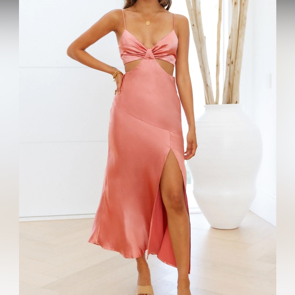 NWT Hello Molly Smile for the Camera Pink Dress